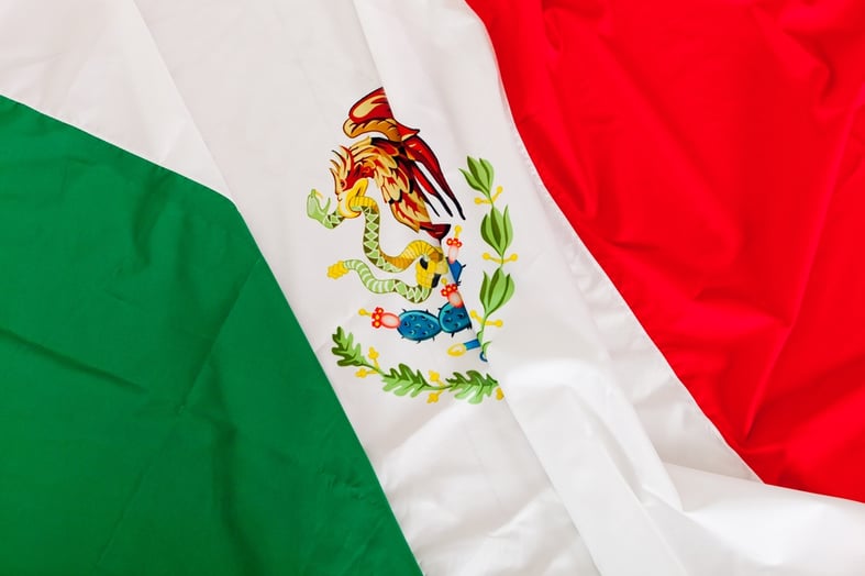 Close up shot of the Mexican flag.jpeg